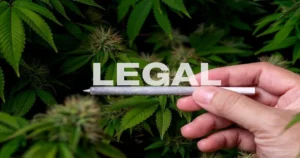 is-cbd-legal-in-texas