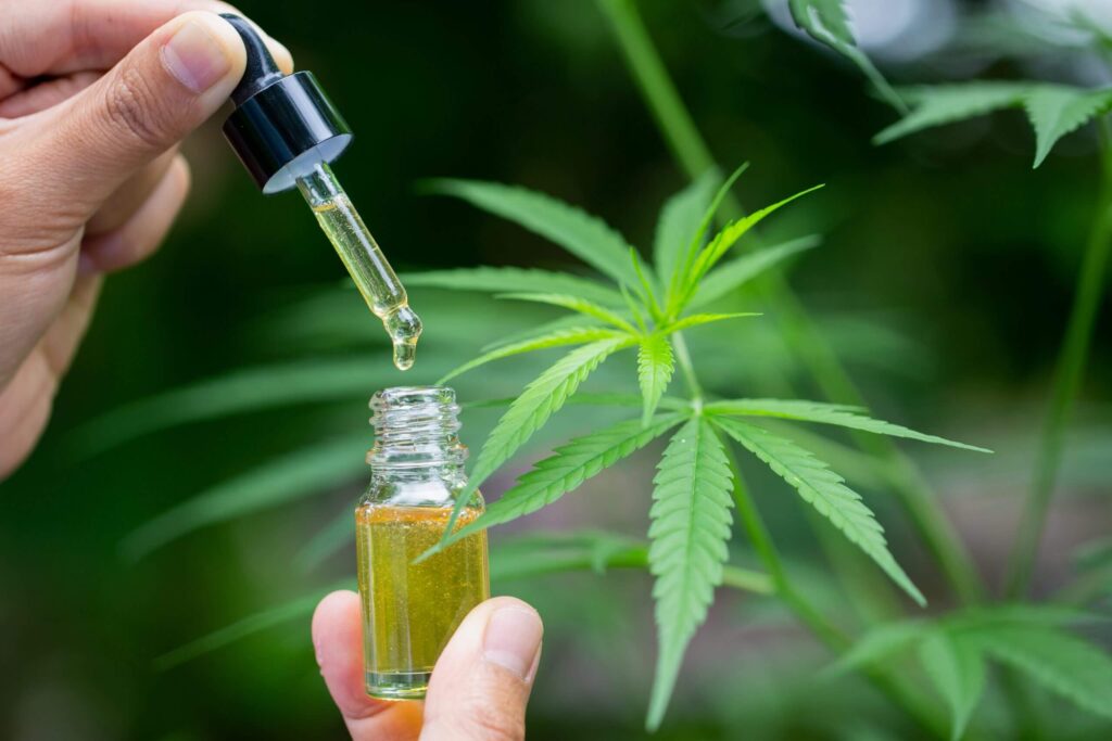 Difference Between Concentrates, Dabs, and Extracts