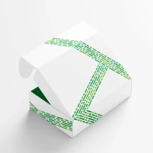 Mailer Box